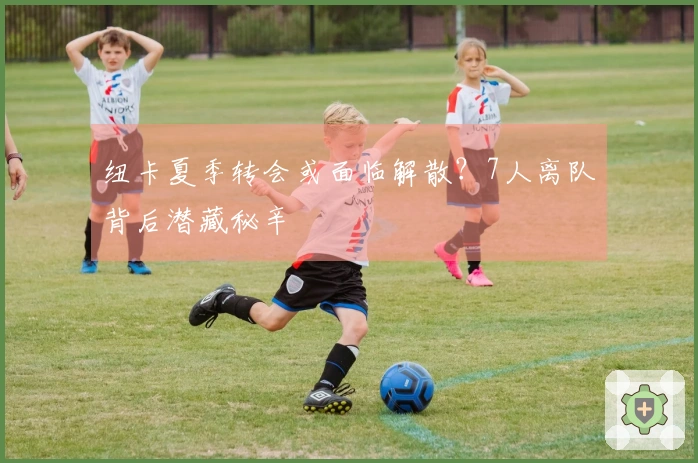 纽卡夏季转会或面临解散？7人离队背后潜藏秘辛